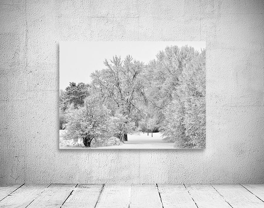 Winters Embrace Wall Preview
