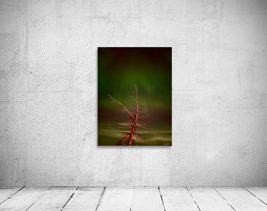 Ghost Tree Under the Northern Lights Wall Preview