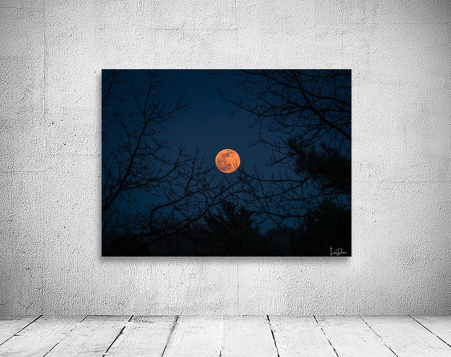 Moonrise Wall Preview