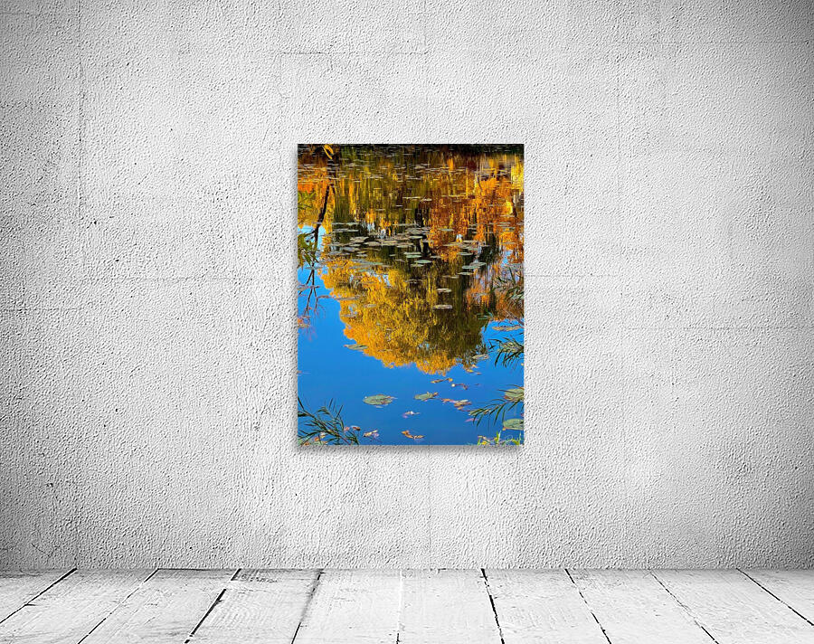 autumn reflection Wall Preview