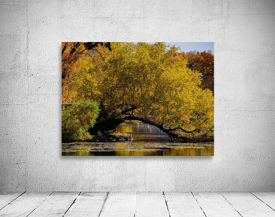Arc de Treeomph Wall Preview