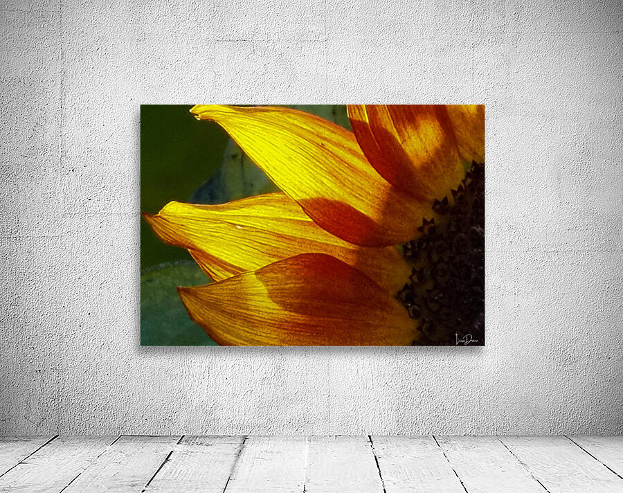 Petal Glow Wall Preview