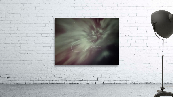 Aurora Flower 1 Wall Preview