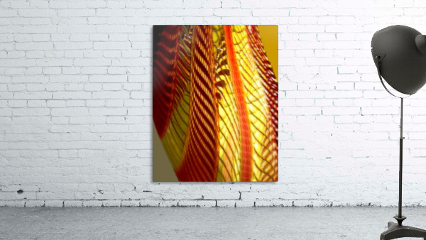 Dragon Wing Wall Preview