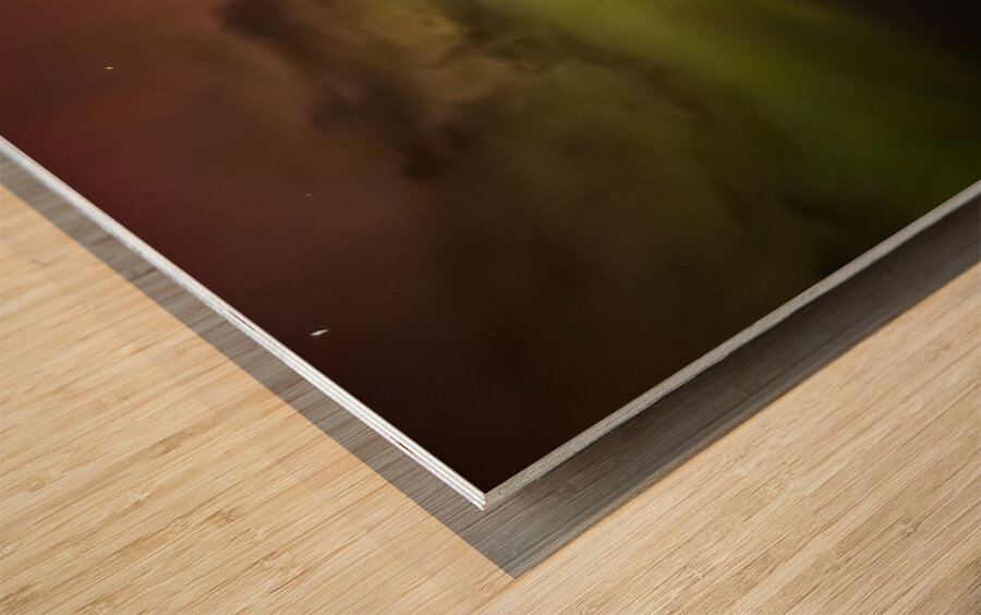 Prairie Lights: Aurora Over the Farm Wood print