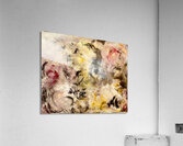 Many Possibilities Acrylic Print