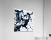 Fade away Series Acrylic Print