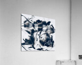 Fade Away Series Acrylic Print