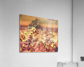 The climate underneath Acrylic Print