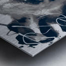 Fade Away  series Metal print