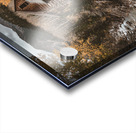 Crystal Mill 30x30 sRGB Acrylic print
