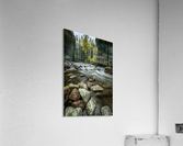 Rocky Mountain Stream II Acrylic Print