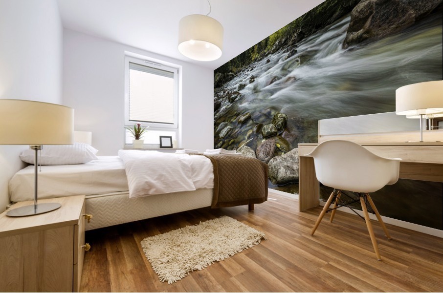 Rocky Mountain Stream II Mural print