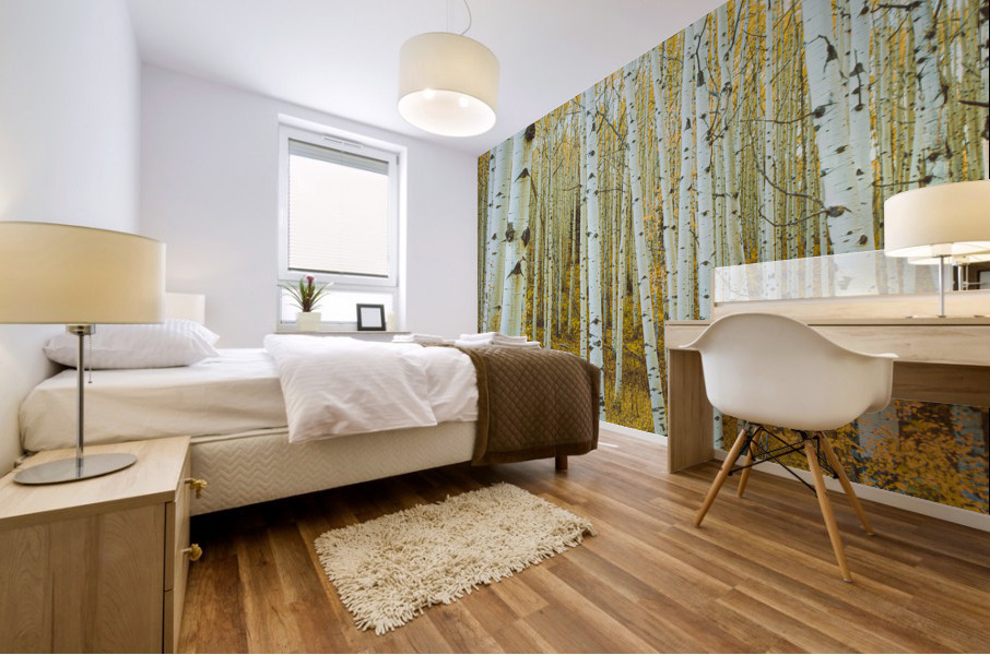 ASPEN TREES  Mural print