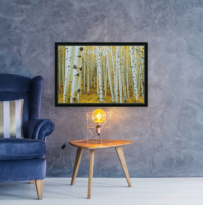 ASPEN TREES  Reproduction
