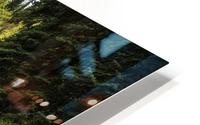 Rocky Mountain Stream II HD Metal print
