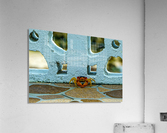 Cayman Crab Acrylic Print