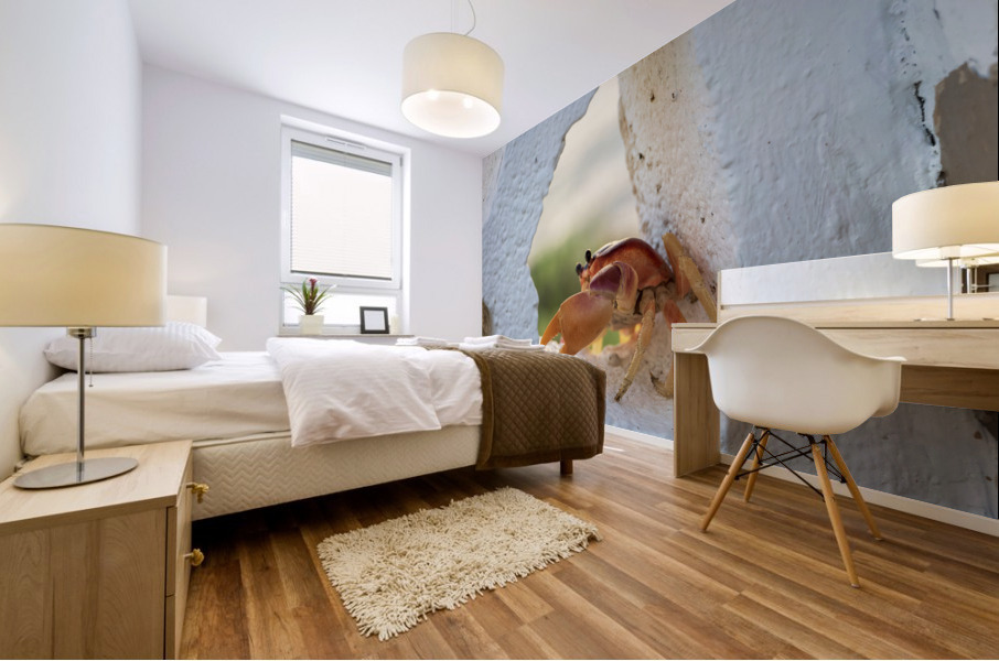 Cayman Crab  Mural print