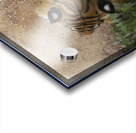 Tiger 1 Acrylic print