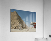 Pyramid w Camel Acrylic Print