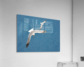 Gulls 1 Acrylic Print