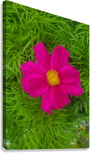 Purple Flower 1 Canvas Print