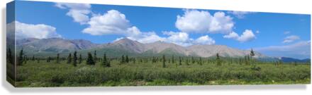 Alaskan Mountains 1 Canvas Print