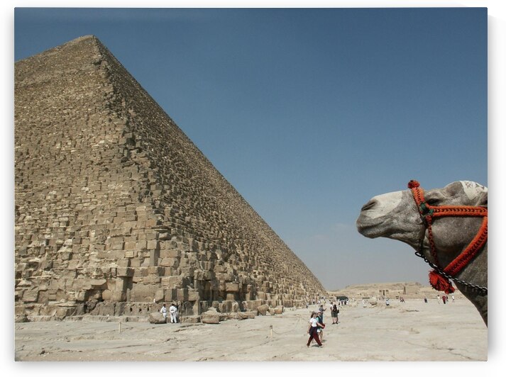 Pyramid w Camel by W Westerholm