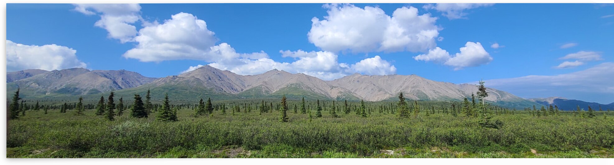 Alaskan Mountains 1 by W Westerholm