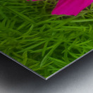 Purple Flower 1 Metal print