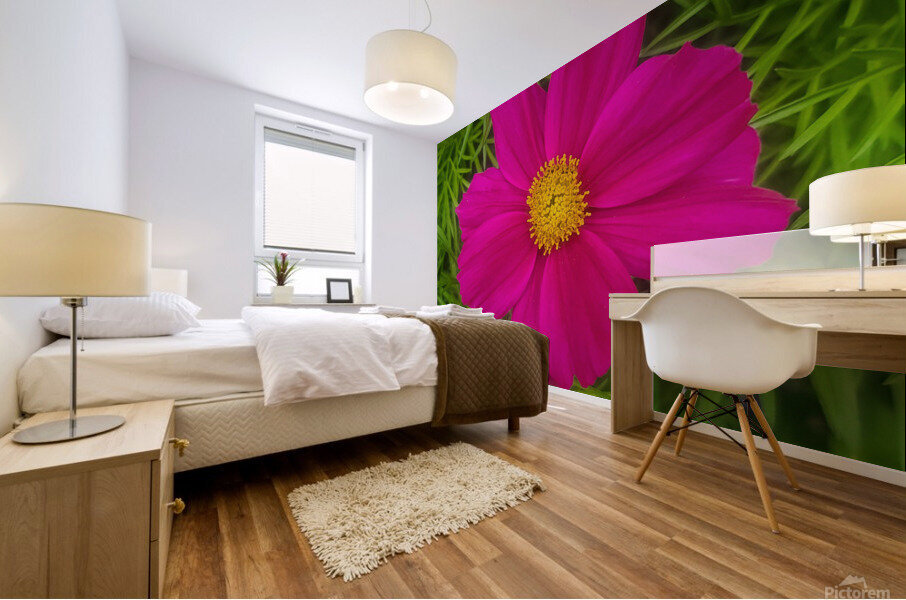 Purple Flower 1 Mural print