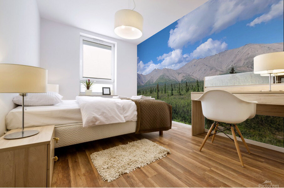 Alaskan Mountains 1 Mural print