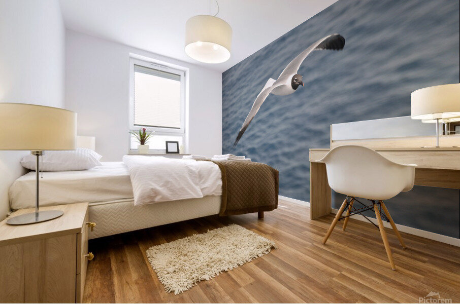 Gull 1 Mural print