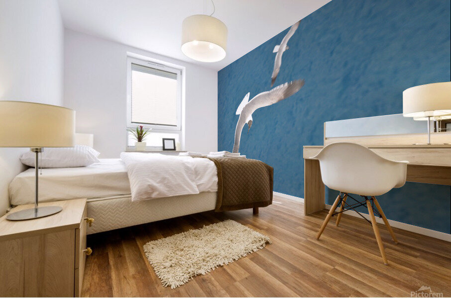 Gulls 1 Mural print