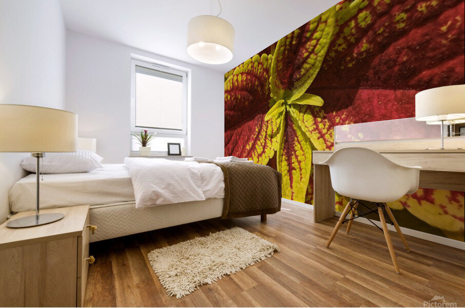 Coleus 2 Mural print