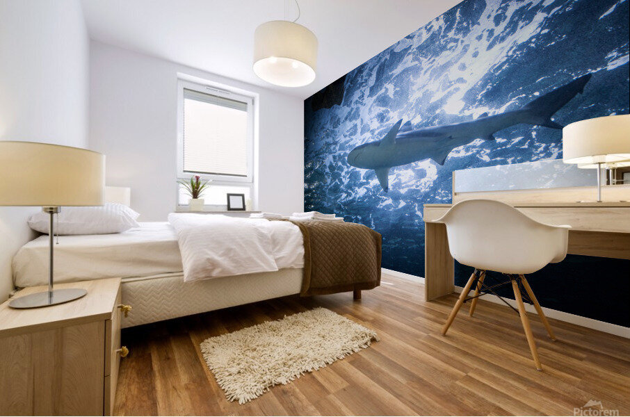 Shark 1 Mural print