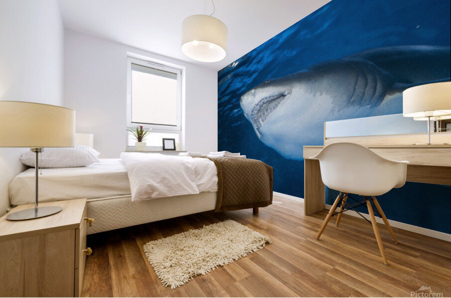 Shark 2 Mural print