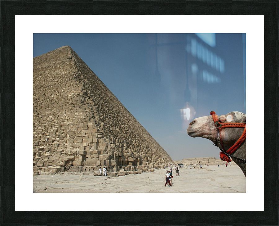 Pyramid w Camel Picture Frame print