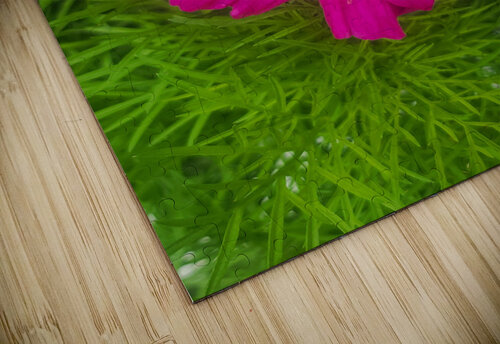Purple Flower 1 W Westerholm puzzle