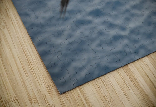 Gull 1 W Westerholm puzzle