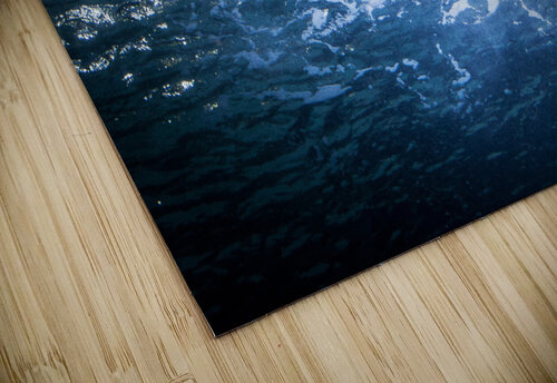 Shark 1 W Westerholm puzzle