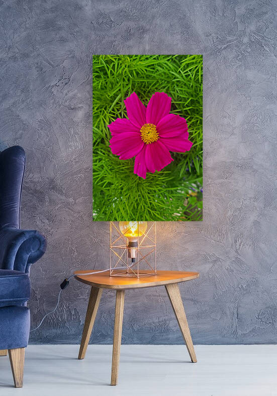 Purple Flower 1 by W Westerholm