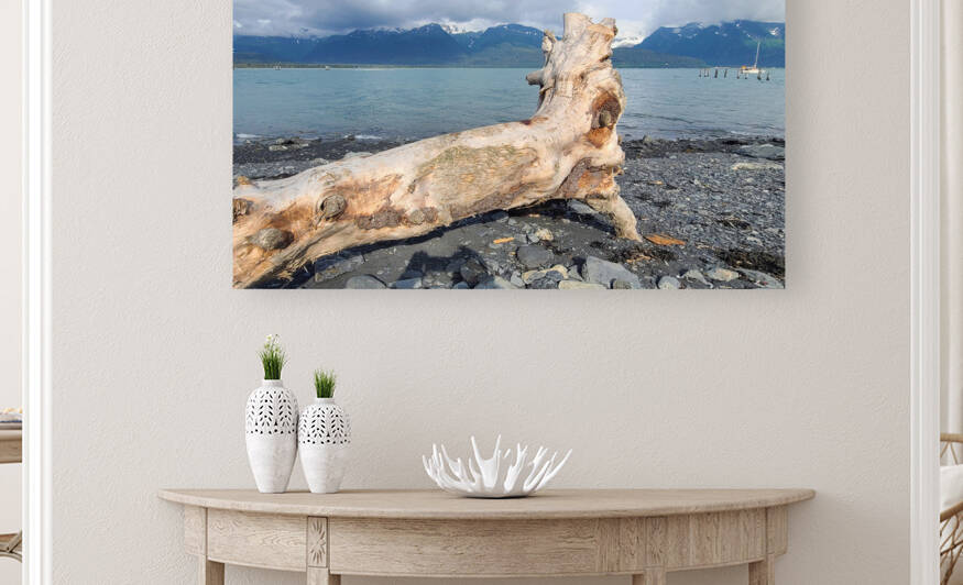 Alaskan Driftwood 1 by W Westerholm
