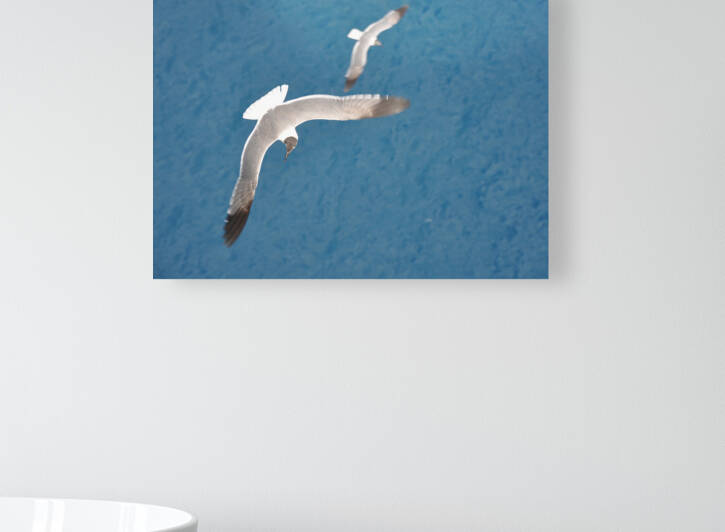 Gulls 1 by W Westerholm