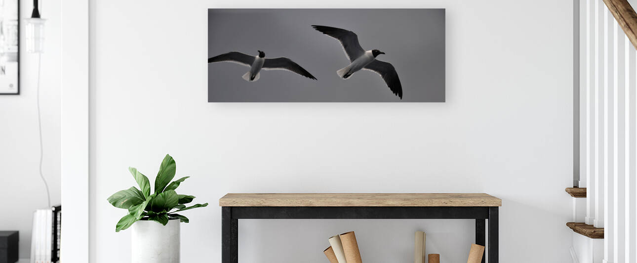 Gulls 2 by W Westerholm