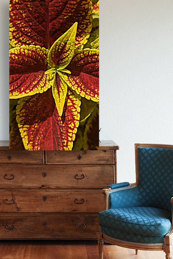 Coleus 2 by W Westerholm