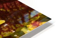 Coleus 2 HD Metal print