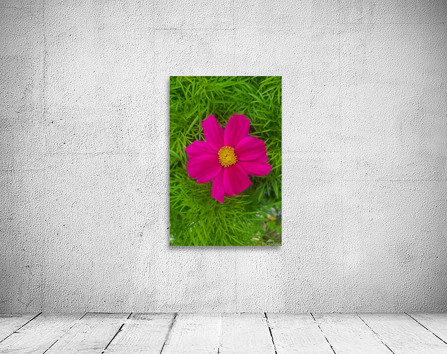 Purple Flower 1 Wall Preview