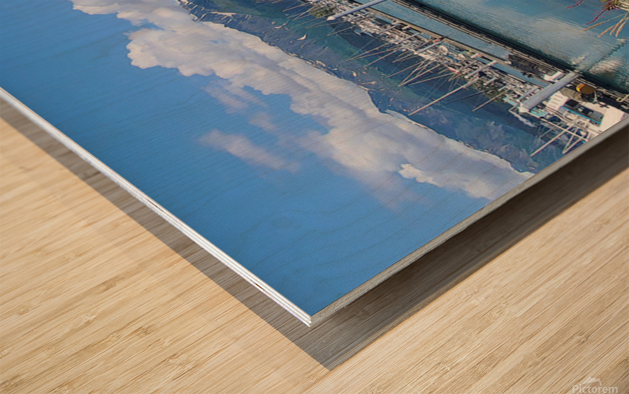 Alaska Dock 2 Wood print