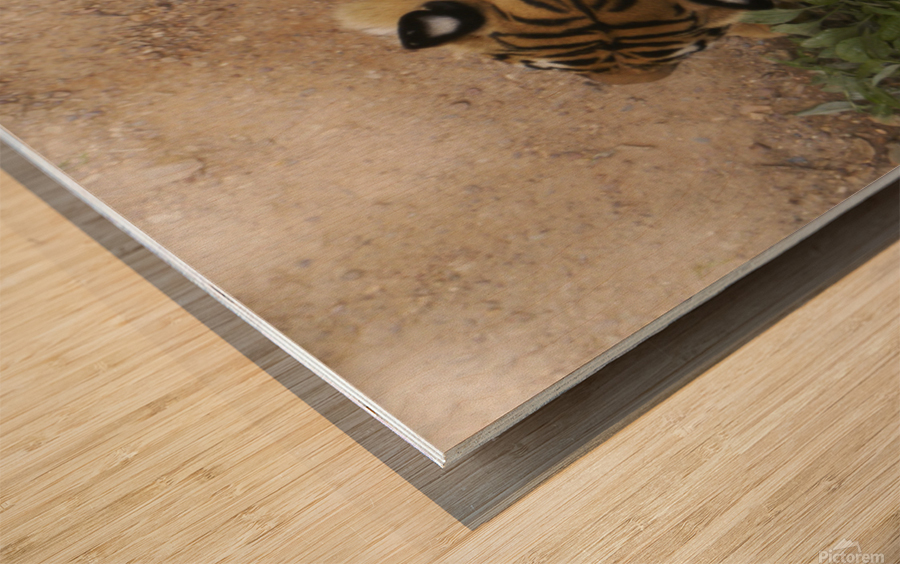 Tiger 1 Wood print